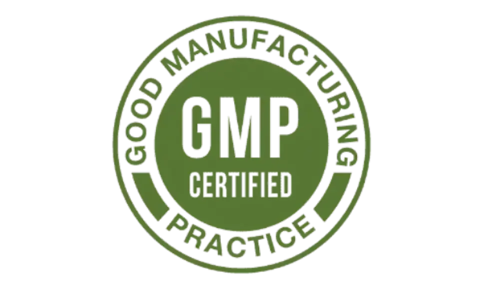 prodentim-gmp-certified